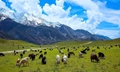 Chitral National Park- KPK Pakistan