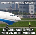 Walking with your 737 in morning