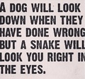 A dog will look down when they have done wrong but a snake will look you in the eyes