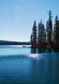 Waldo Lake Oregon USA 91