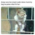 Cat baby calling ice cream wala