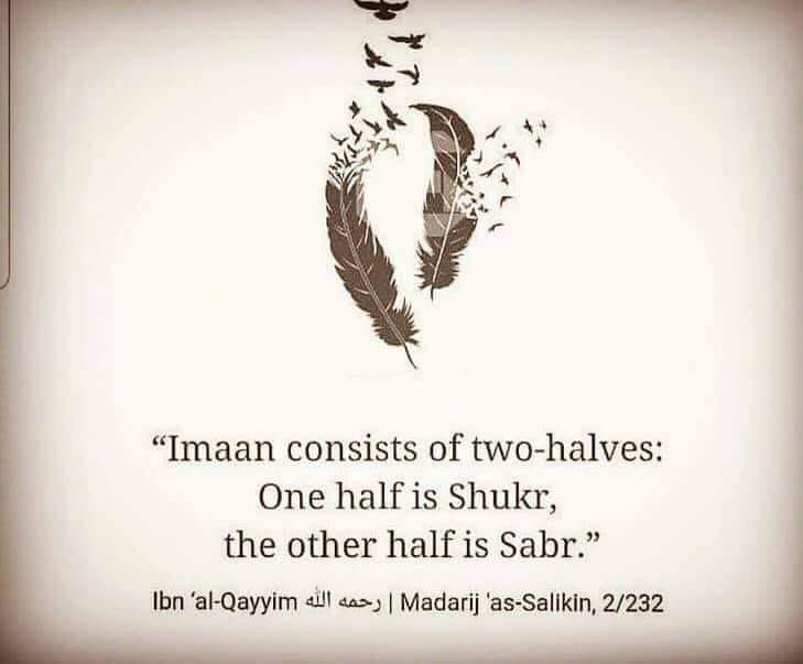 Imaan consist of two halves. One half is Shukr, other half is Sabar