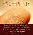 Fingerprints - Quran 75-3-4