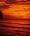 Sunset in Maui Hawaii USA 87