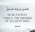 So be Patient, Verily, the promise of Alah is true - Quran 30-60