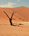Namib Desert Africa