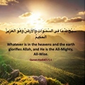 Whatever is in the heavens and the earth glorifies Allah and He is All-Mighty All-Wise - Quran Hadid 57-1