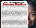 short story of injustice on burmese muslims en