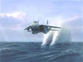F14 Eagle Fighter Jet missles submerged