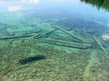 Amazing crystal-clear water Flathead Lake in Montana 44