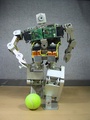 Toy Robots Soccer 01
