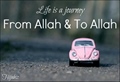 Life is journey from Allah to Allah