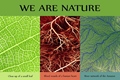 we are nature blood vessels