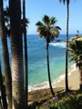 Laguna Beach California USA 46
