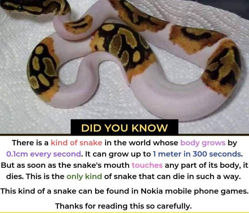 Snake who grow 1 meter in 300 seconds