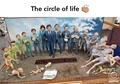 Circle of life