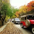 Autumn in Hunza Valley Gilgit-Baltistan - Pakistan