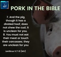 Pork in Bible fobidded - Leviticus 11 7-8 (NIV)  Deuteronomy 14-8