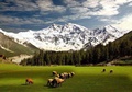 Fairy Meadows 2 Pakistan