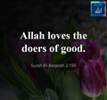 Allah loves the doers of good - Quran - Surah Al Baqarah - 2-195