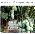 When you dont trust your neighbour