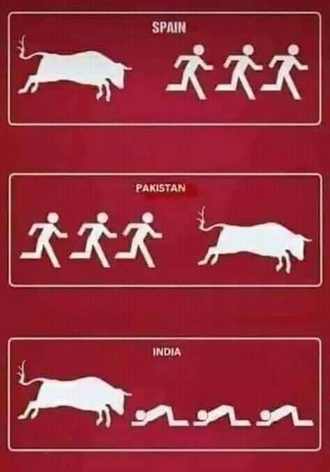 Spain, Pakistan and India - Bull and People