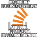 Imagine they delete stackoverflow and boom you are not a programmer anymore