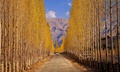 Road to Khaplu Pakistan