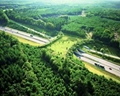 wildlife bridge to help animals cross the highway