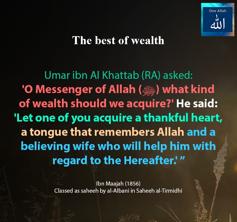 What kind of wealth should we acquire - Hadith - Ibn Maajah - 1856
