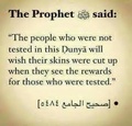 The people who were not tested Hadith Sahih Jama