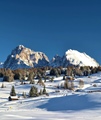 Alpe di Siusi Alto Adige Italy 6