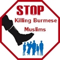 stop killing burmese