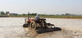 Pakistani farmer in action
