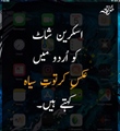 سکرین شاٹ کو اردو میں کیا کہتے ہیں