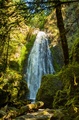Susan Creek Falls Oregon USA
