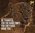 Be thankful for the hard times for they have made you