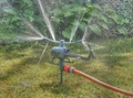 Peculiar one - Plant water - Helicopter