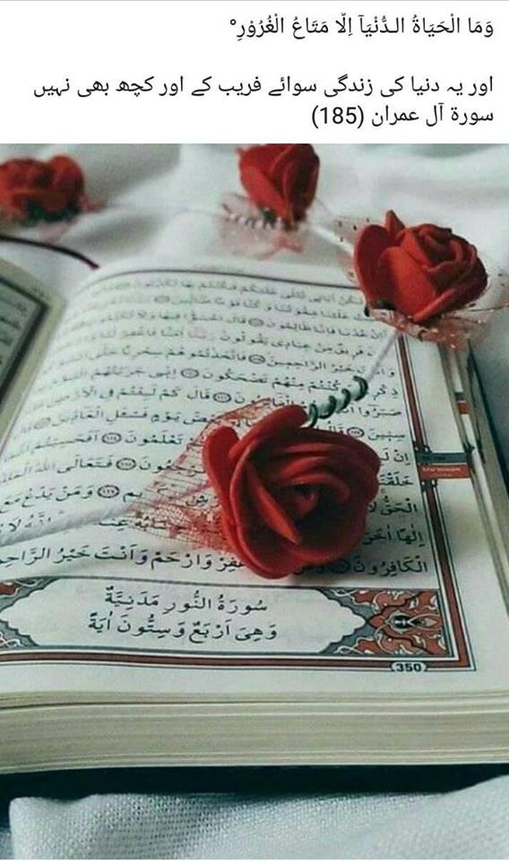 Aur yeh dunia ki zindagi siwae faraib kay aur kuch bhi nahi - Quran Aal Imran-185