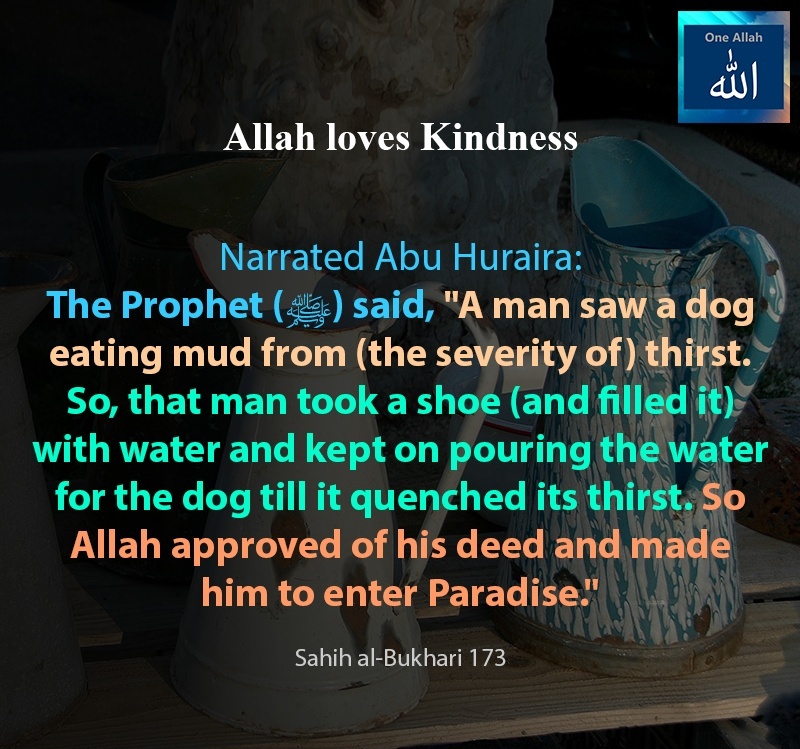 Allah loves kindness - Man enter Paradise upon quenching a dog thirst - Sahih al Bukhari - 173