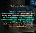 Allah loves kindness - Man enter Paradise upon quenching a dog thirst - Sahih al Bukhari - 173