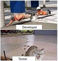 Developer vs tester