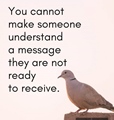You canot make someone understand a message they are not ready to receive